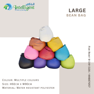 Bean Bag Adult Size